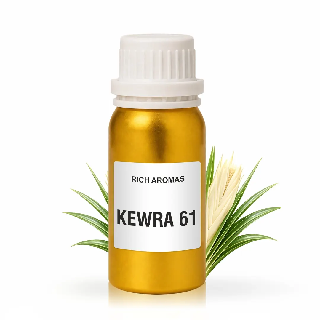 Kewra 61 Kewra 61