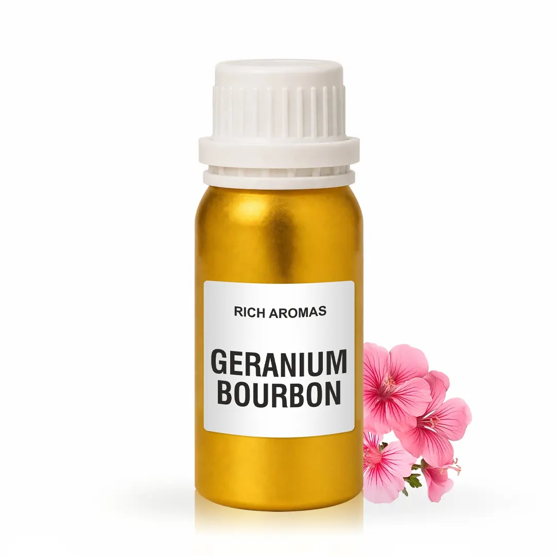 geranium-bourbon Geranium Bourbon